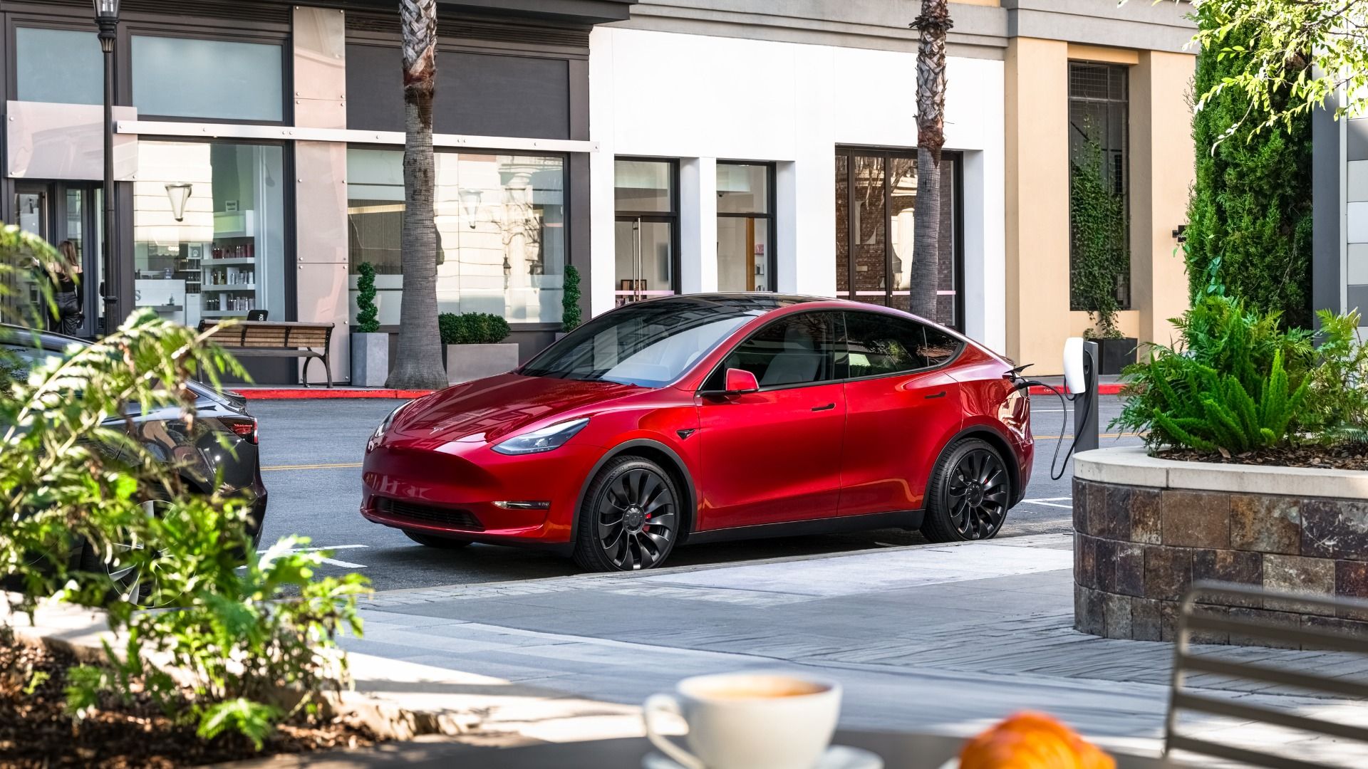 2024 Tesla Model Y Images: interior and Exterior Gallery