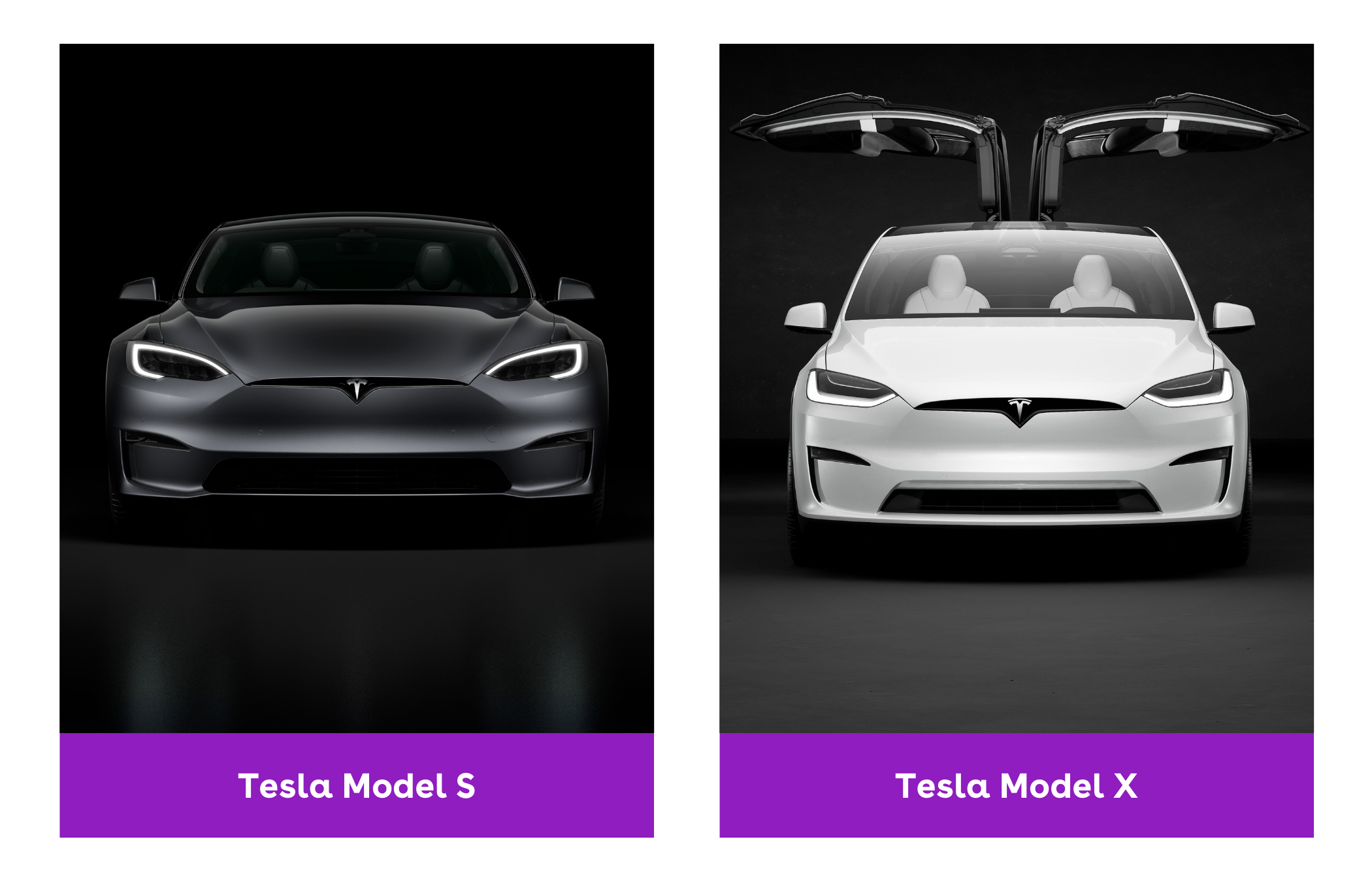 Tesla Model S vs. Tesla Model X: which is better? - cinch