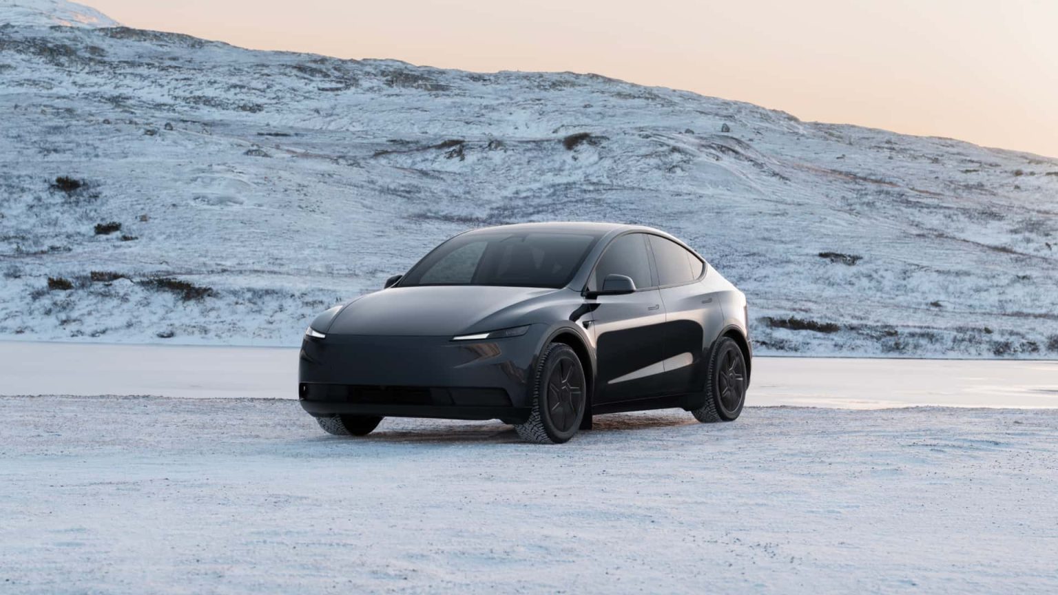 tesla model y standard long range rwd